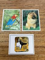 Panini : Huisdieren, Verzamelen, Ophalen of Verzenden, Nieuw, Dier en Natuur