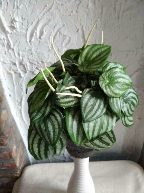 Kunstzijde groene plant/kunststof witte spikes, Huis en Inrichting, Kamerplanten, Overige soorten, Minder dan 100 cm, Groene kamerplant
