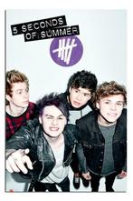 Poster 5 Seconds of summer, Ophalen of Verzenden, Nieuw, A1 t/m A3, Muziek