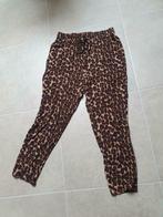 Loungebroek tijgerprint maat medium, Kleding | Dames, Ophalen of Verzenden, Nieuw
