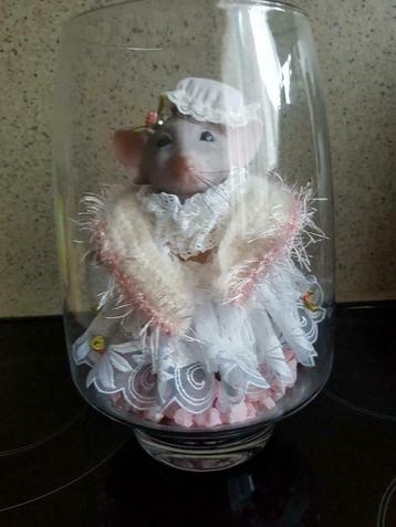 Souris Reborn, Enlèvement ou Envoi, Comme neuf