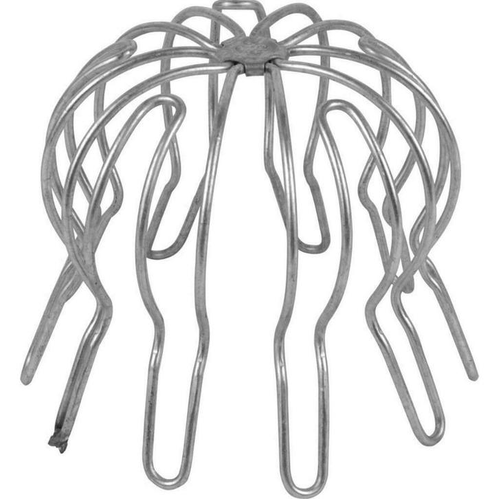 Bolrooster voor groen dak / sedum dak, Tuin en Terras, Planten | Tuinplanten, Vaste plant, Bodembedekkers, Volle zon, Lente, Ophalen of Verzenden