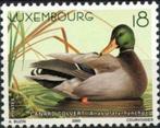 Luxembourg 2000 : oiseaux - canards (série de 3 timbres), Luxembourg, Envoi, Non oblitéré