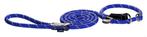 Laisse + Collier réglable, bleu pour Chien, taille L, Neuf, Dieren en Toebehoren, Verzenden, Nieuw