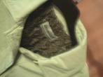 Damart jas, Kleding | Dames, Jassen | Winter, Beige, Maat 42/44 (L), Ophalen of Verzenden, Zo goed als nieuw