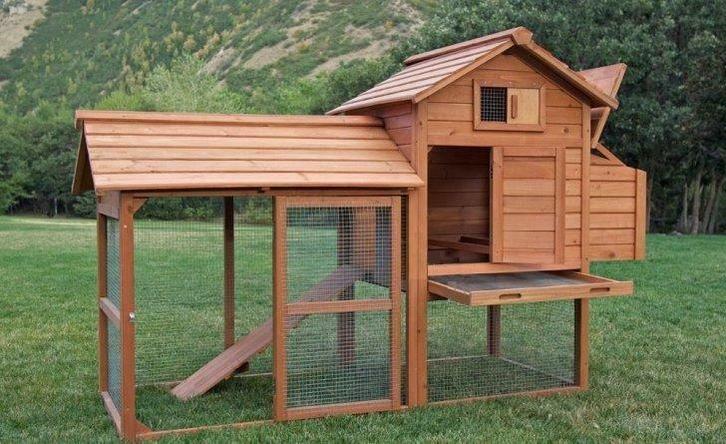 Poulailler abri poule caille volaille enclos poule XXL GEANT, Animaux & Accessoires, Volatiles | Accessoires, Neuf, Envoi