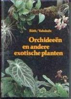 Orchideeën en andere exotische planten, Utilisé, Enlèvement ou Envoi, Fleurs, Plantes et Arbres