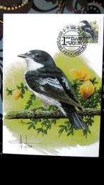 FIRST DAY OP KAART- VOGELS VAN BUZIN- DE BONTE VLIEGENVANGER, Ophalen of Verzenden, Gestempeld, Dier of Natuur