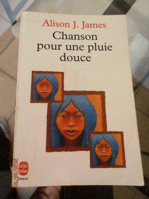 Livre "Chanson pour une pluie douce" HACHETTE JEUNESSE 1993, Boeken, Kinderboeken | Jeugd | 13 jaar en ouder, Gelezen, Fictie