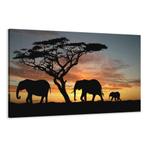 Nieuw canvas schilderij Afrika Olifant 120 x 80 cm, Verzenden, Nieuw, Schilderij, 100 tot 125 cm