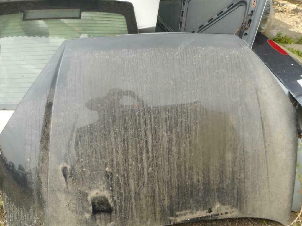 Capot Ford Focus, Autos : Pièces & Accessoires, Carrosserie & Tôlerie, Capot moteur, Ford, Avant, Utilisé, Enlèvement