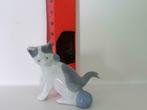kat grijs-blauw (voor verzamelaars), Ophalen