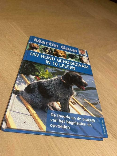 Martin Gaus - Uw hond gehoorzaam in 10 lessen, Livres, Animaux & Animaux domestiques, Neuf, Chiens, Enlèvement ou Envoi