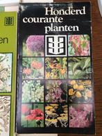 Bloemensoorten, Zo goed als nieuw