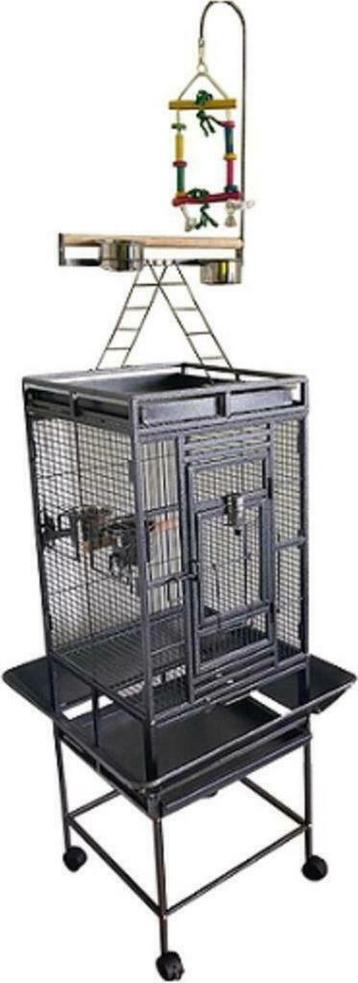 Cage perroquet cage gris gabon amazone voliere perroquet