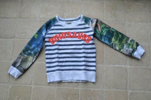 Trui Name It 5-6j, Kinderen en Baby's, Kinderkleding | Maat 116, Gebruikt, Jongen, Trui of Vest, Ophalen of Verzenden