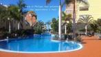 Appartement - Tenerife - Palm Mar - 65€, Vakantie, Vakantiehuizen | Spanje, Dorp, 1 slaapkamer, Appartement, Internet