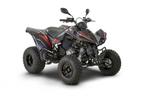 Kymco maxxer 300, Motoren, Quads en Trikes, 300 cc, 1 cilinder, 11 kW of minder