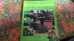 Klimplanten (j), Tuin en Terras, Planten | Tuinplanten, Ophalen of Verzenden, Klimplanten