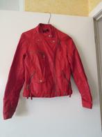 Rood jasje Softy (small) lederlook, Kleding | Dames, Ophalen of Verzenden, Jasje, Maat 36 (S), Gedragen