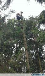 Vellen van bomen, Diensten en Vakmensen, Tuinmannen en Stratenmakers