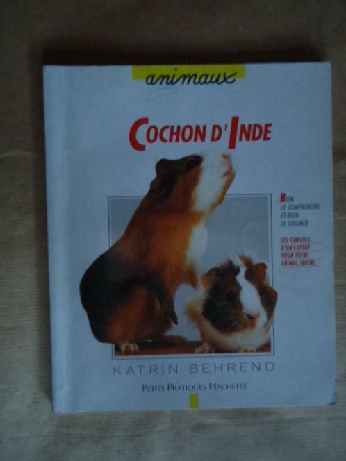 KATRIN BEHREND - COCHON D'INDE - HACHETTE, Livres, Animaux & Animaux domestiques, Utilisé, Enlèvement ou Envoi
