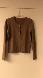 Gilet maat 36, Kleding | Dames, Ophalen of Verzenden, Maat 36 (S)