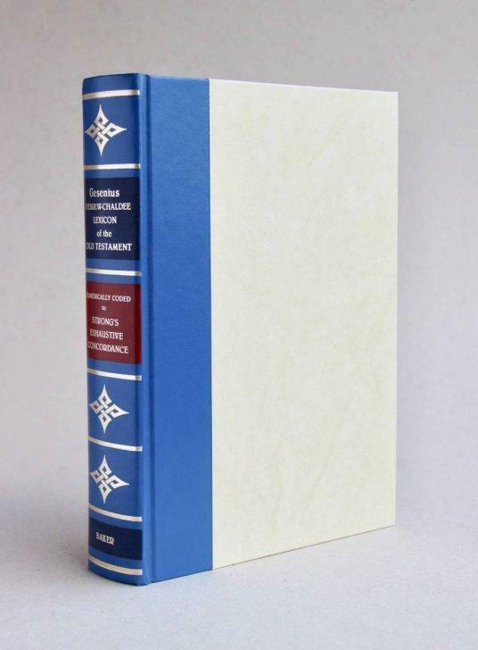 Gesenius' Hebrew and Chaldee Lexicon to the OT + Strong's, Boeken, Godsdienst en Theologie, Gelezen, Ophalen of Verzenden