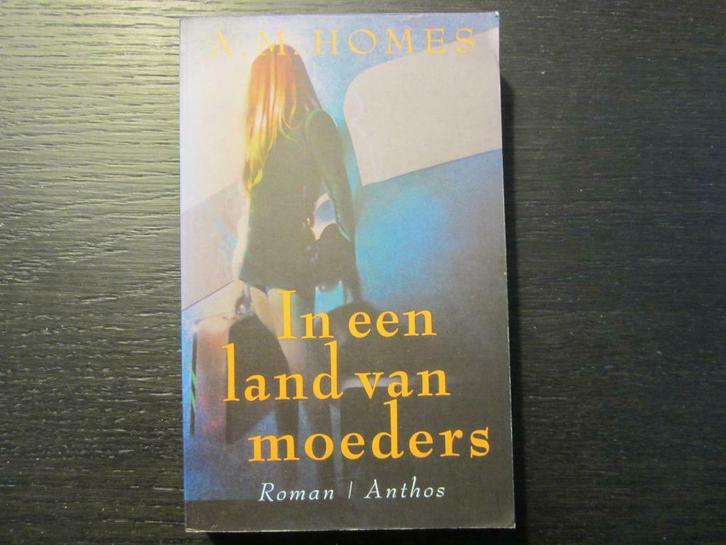 In een land van moeders  -A.M. Homes-, Boeken, Literatuur, Ophalen of Verzenden