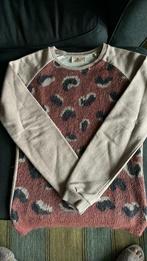 Sweater oudroze scotch rebelle 14 jaar, Kinderen en Baby's, Kinderkleding | Maat 164, Meisje, Trui of Vest, Ophalen of Verzenden