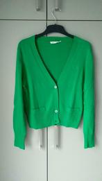 Groen vestje Liberty island maat m, Ophalen of Verzenden, Zo goed als nieuw, Maat 38/40 (M), Groen