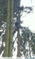 Vellen van bomen, Tuin en Terras