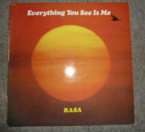 LP Rasa - Everything You See Is Me, CD & DVD, Vinyles | Autres Vinyles, Enlèvement ou Envoi