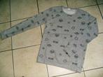 grijze sweater mt158-164, Kinderen en Baby's, Kinderkleding | Maat 158, Jongen, Gebruikt, Ophalen of Verzenden, Shirt of Longsleeve