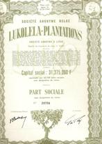 S.A.Belge Lukolela - Plantations, Action, Envoi, 1950 à 1970