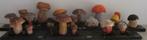 antieke collectie botanische modellen paddestoelen 22, Antiek en Kunst, Verzenden, Natuur en Biologie