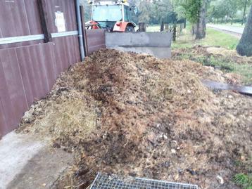Gratis Paardenmest afgehaald/ geleverd beschikbaar voor biedingen