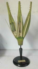 antiek botanisch model van rogge Osterloh 1ABK, Antiek en Kunst, Verzenden