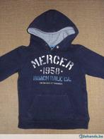Warme sweater met kap L.O.G.G. by H&M, Ophalen of Verzenden, Gebruikt, Jongen, Trui of Vest