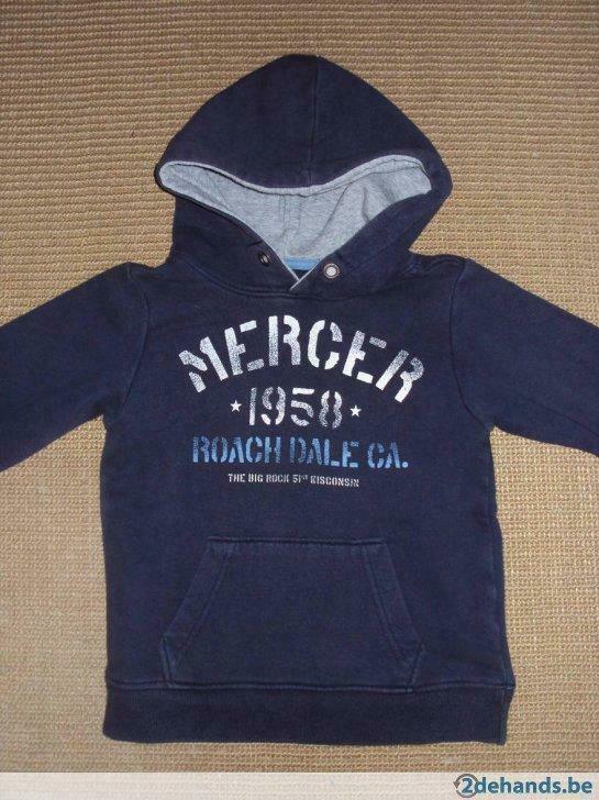 Warme sweater met kap L.O.G.G. by H&M, Kinderen en Baby's, Kinderkleding | Maat 110, Gebruikt, Jongen, Trui of Vest, Ophalen of Verzenden