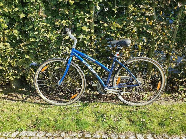 Specialized Crossroads (nr.1), Fietsen en Brommers, Fietsen | Dames | Damesfietsen, Gebruikt, Overige merken, Versnellingen, Ophalen