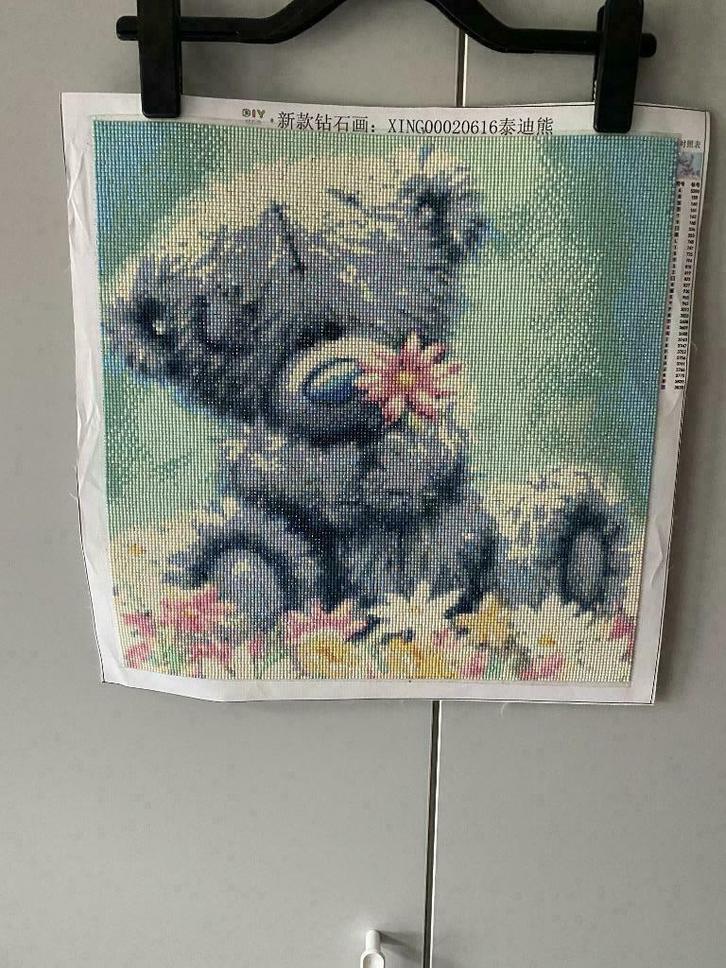 diamond painting, Hobby en Vrije tijd, Knutselen, Nieuw, Ophalen of Verzenden