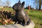 Bull dog, Franse bulldog in brons, Antiek en Kunst, Ophalen of Verzenden, Brons