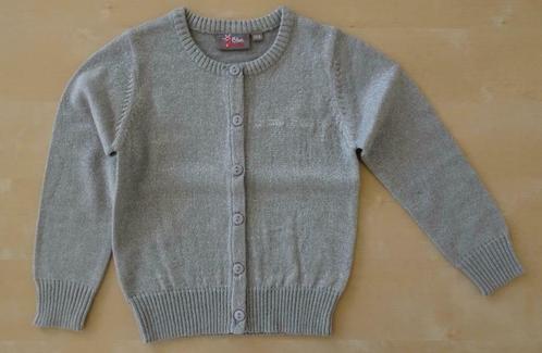 Zilvergrijs meisjescardigan, maat 104 - nieuw, Kinderen en Baby's, Kinderkleding | Maat 104, Nieuw, Meisje, Trui of Vest, Ophalen of Verzenden