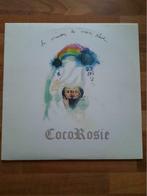 LP Coco Rosie - La Maison de mon Rêve (2004), CD & DVD, 12 pouces, 2000 à nos jours, Enlèvement ou Envoi