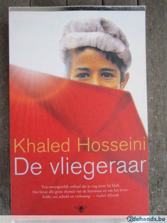Boek - De vliegeraar, Boeken, Romans, Gelezen, Ophalen of Verzenden