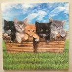 wanddecoratie 3D kittens (30x30cm) NIEUW, Ophalen of Verzenden, Nieuw, Wanddecoratie
