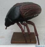 vintage heel groot anatomisch plaaster model kever insect, Gebruikt