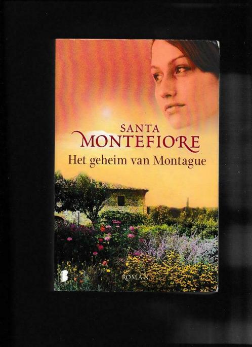 Het geheim van Montague, Boeken, Romans, Zo goed als nieuw, België, Verzenden