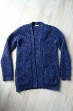 Blauwe wollige vest maat 164, Ophalen of Verzenden, Gebruikt, Meisje, Trui of Vest